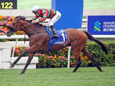 Hong Kong Horses Head To Qatar Trophy Image 1