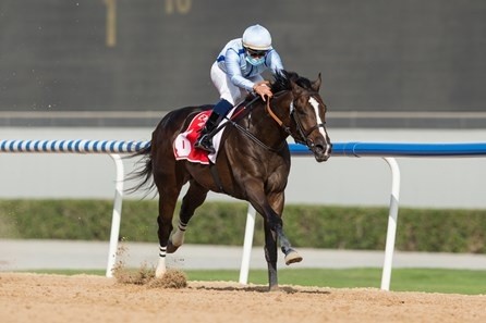 Review: Rebel's Romance Romps To Victory In Gr.2 UAE Derby ... Image 2