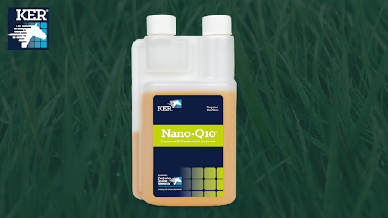 The Many Benefits of Coenzyme Q10 for Horses Image 1