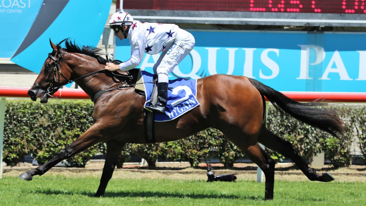 Inglis Easter Sale: Elite Yearlings Catalog for 2024 Image 1