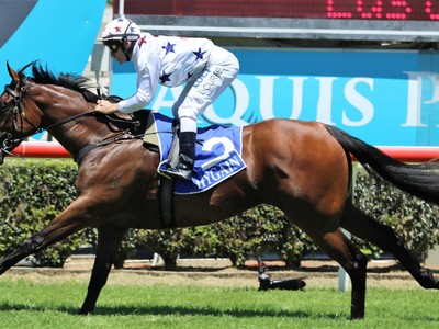 Inglis Easter Sale: Elite Yearlings Catalog for 2024 Image 1