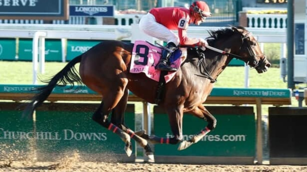 Star Fortress Tops Strong Lineup In Pegasus Filly &amp; Mare ... Image 1