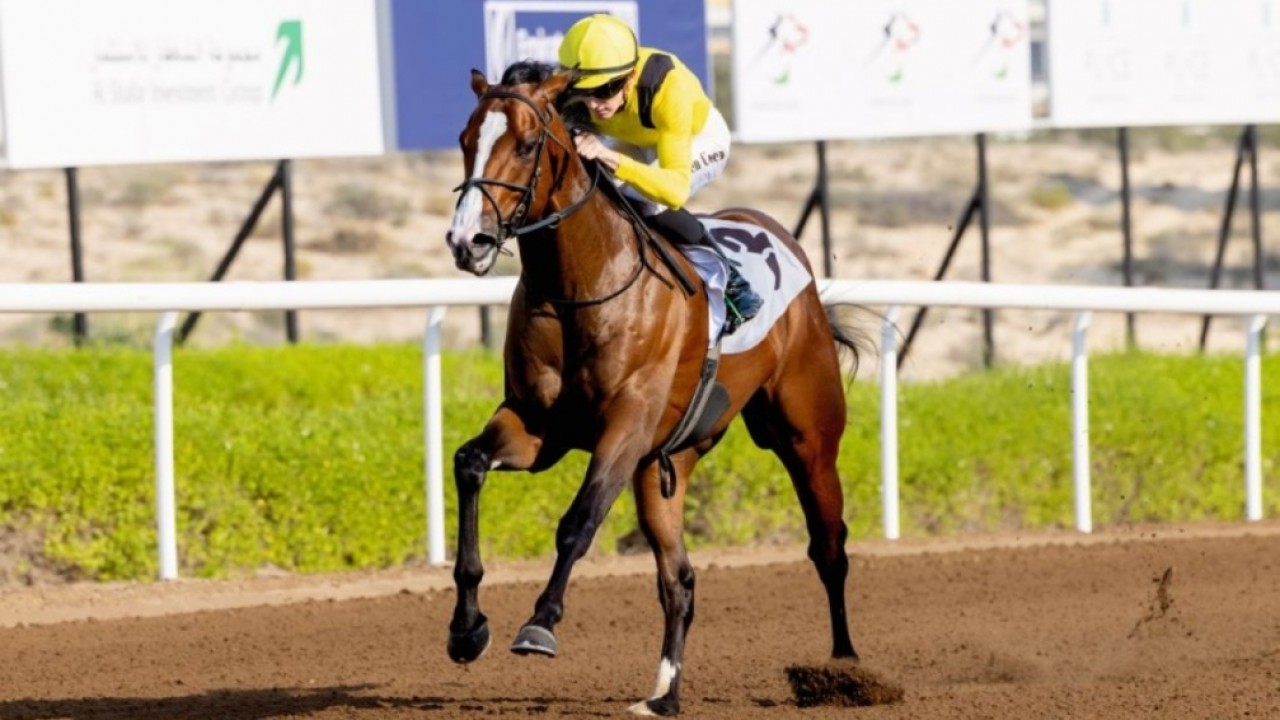 Preview: Big Stars Twinkle For Maktoum Challenge Meeting Image 2