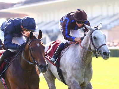 European Filly Favored In Pegasus World Cup Turf: A Look At ... Image 1