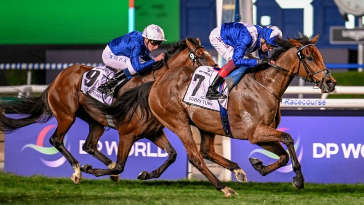 Lord North Aims For Fourth Victory In Dubai Turf Image 1