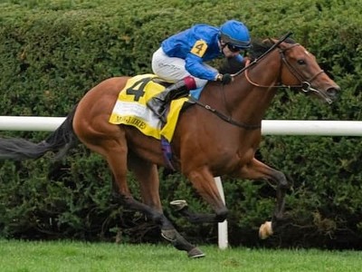 Mawj Headed To America After Disappointing Meydan Run Image 1