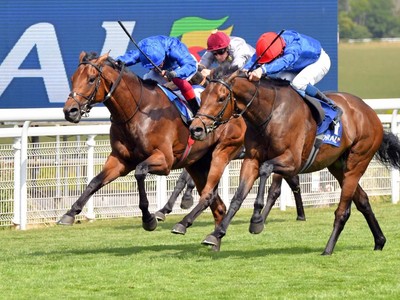 Appleby Aims For Eighth Dubai Millennium Victory With New ... Image 1