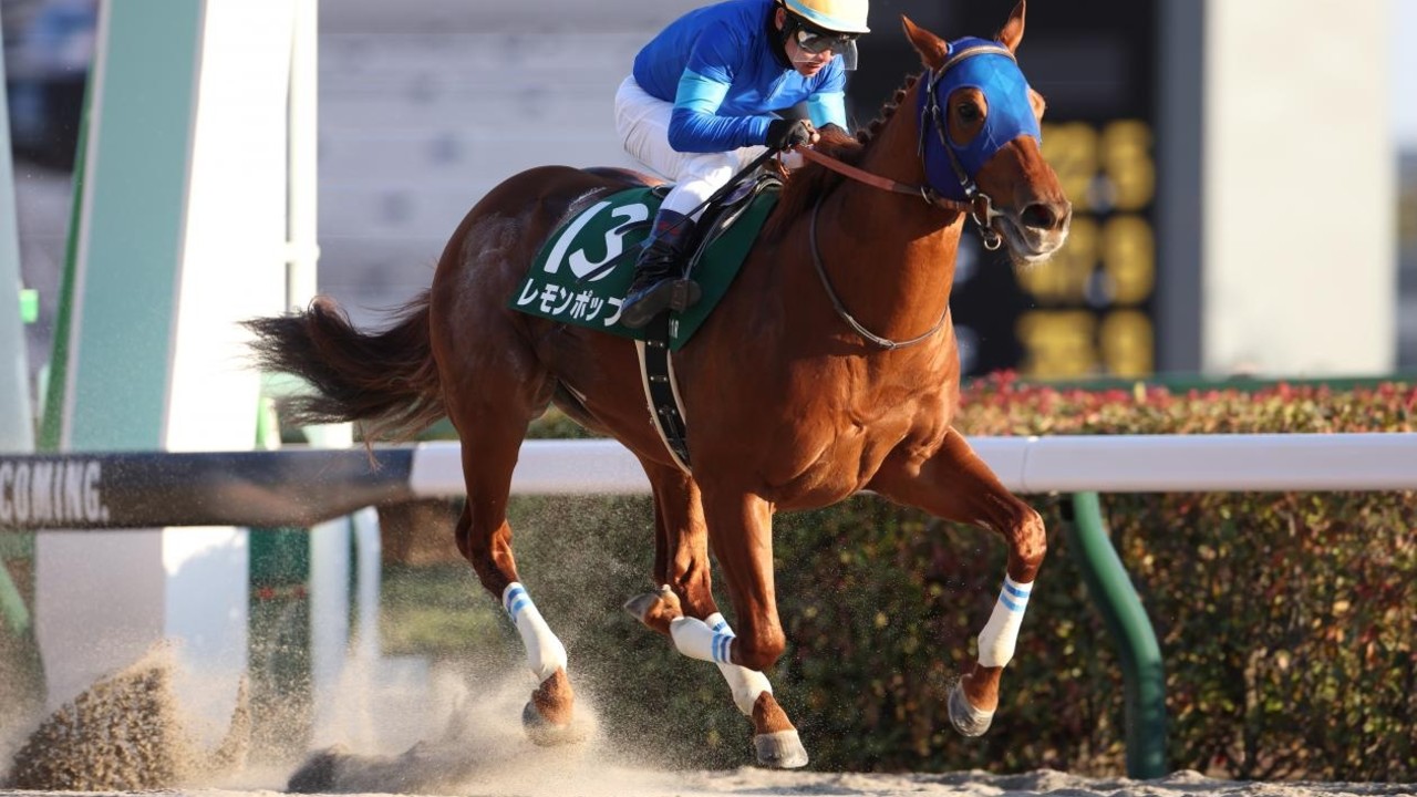 Japan Sends 22 Horses To Saudi Cup Night Image 1
