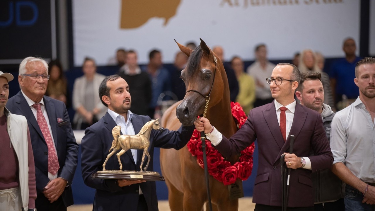 Review: Global Champions Arabians Tour 2024 Ends ... Image 1