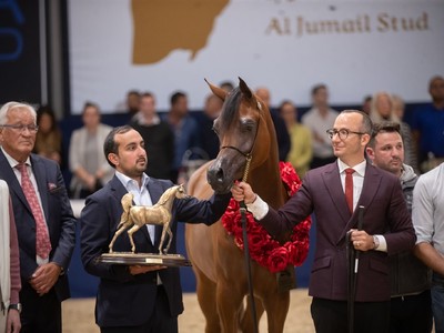 Review: Global Champions Arabians Tour 2024 Ends ... Image 1