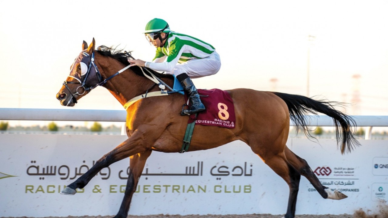 Goldingreatstore Wins Wadi Al Sail Cup Race Image 1