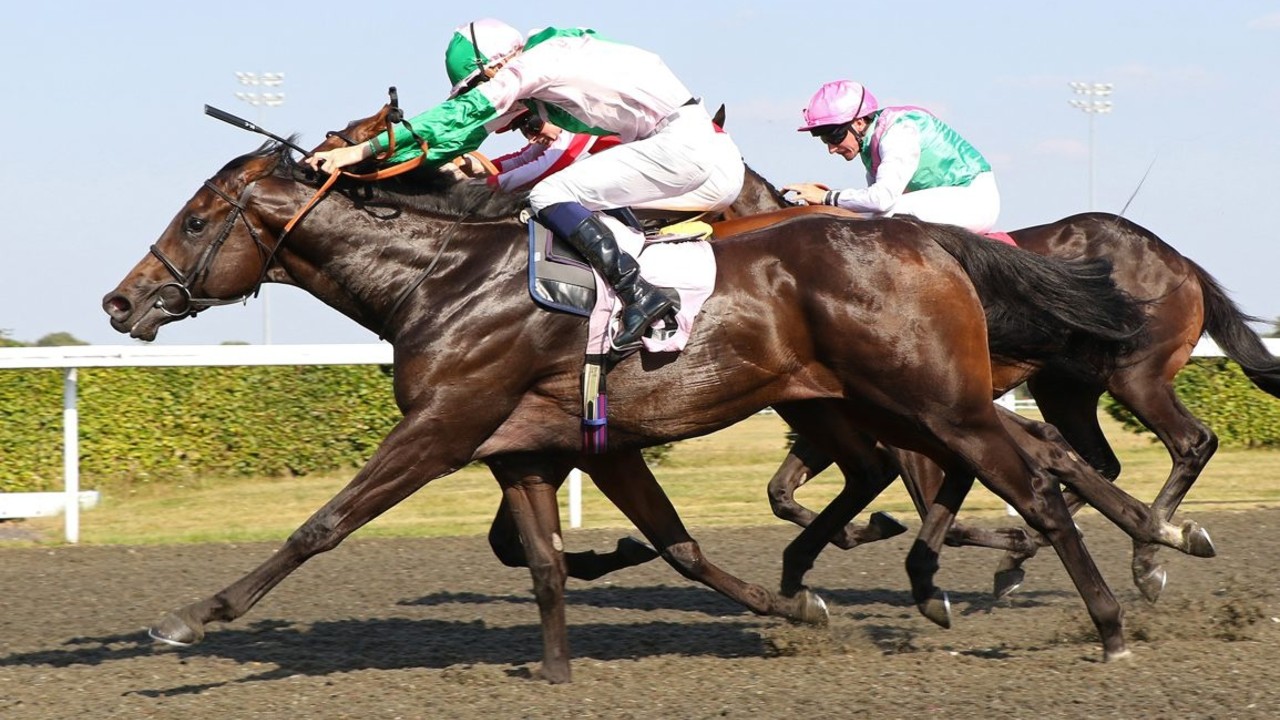 Starlust Ready To Shine In Dubai Trophy Image 1