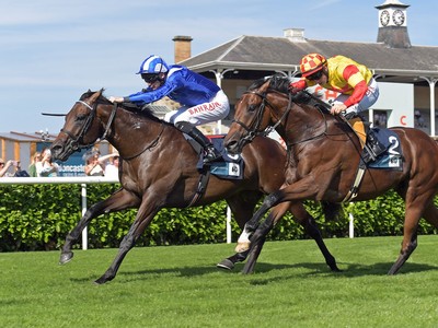 Gosden’s Israr Aims For Victory In HH The Amir Trophy Image 1