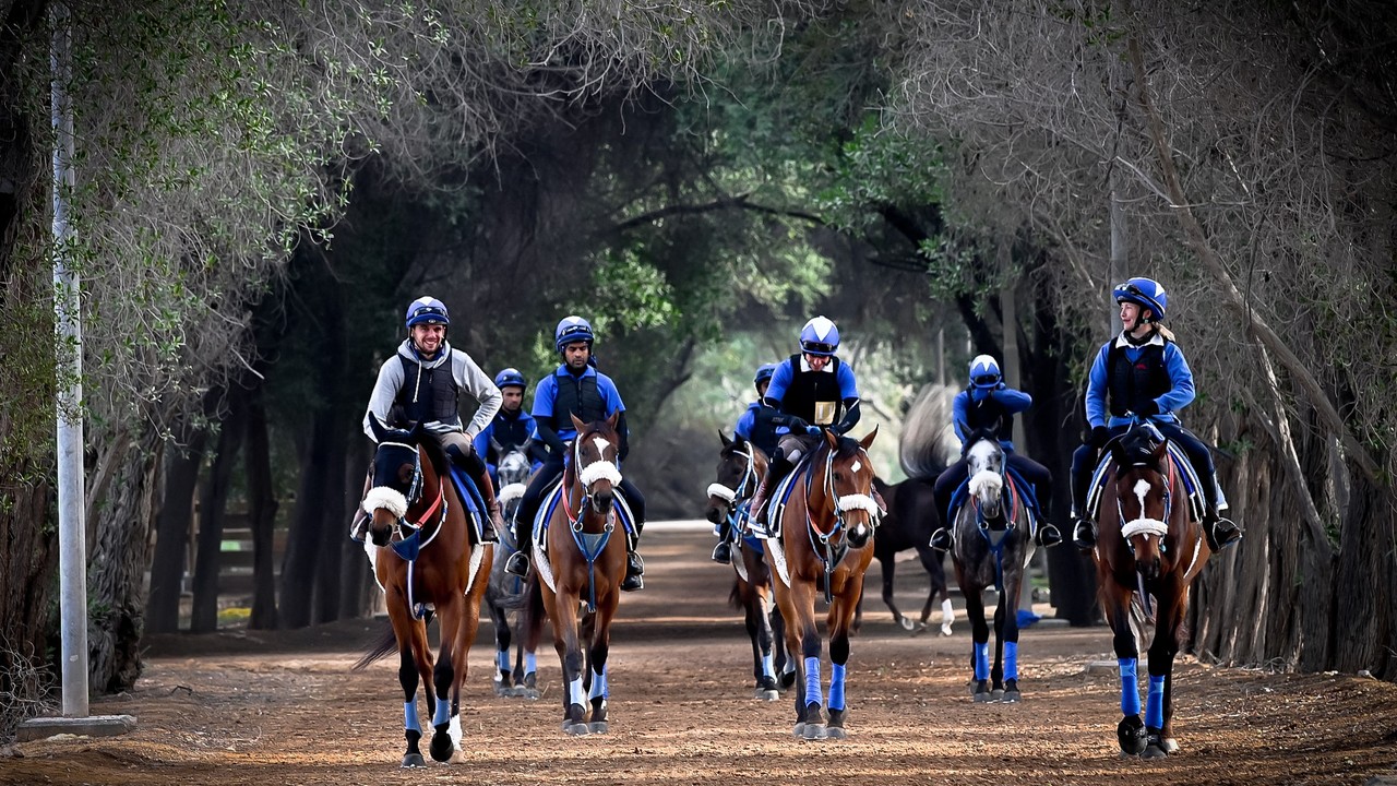 Al Shahania Farm: A Tale Of Passion &amp; Dedication Image 2