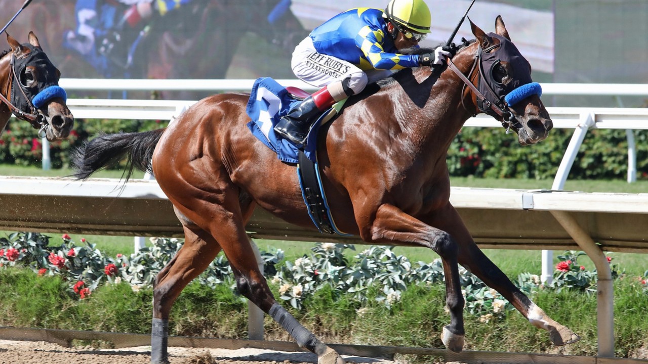 National Treasure Leads Saudi Cup Rivals In NTRA Poll Image 1