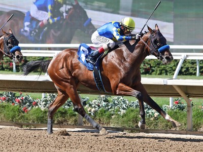 National Treasure Leads Saudi Cup Rivals In NTRA Poll Image 1