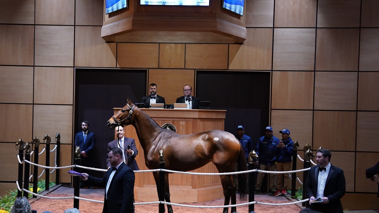 Fasig-Tipton To Get Closer Look At Middle East Horse Racing Image 1