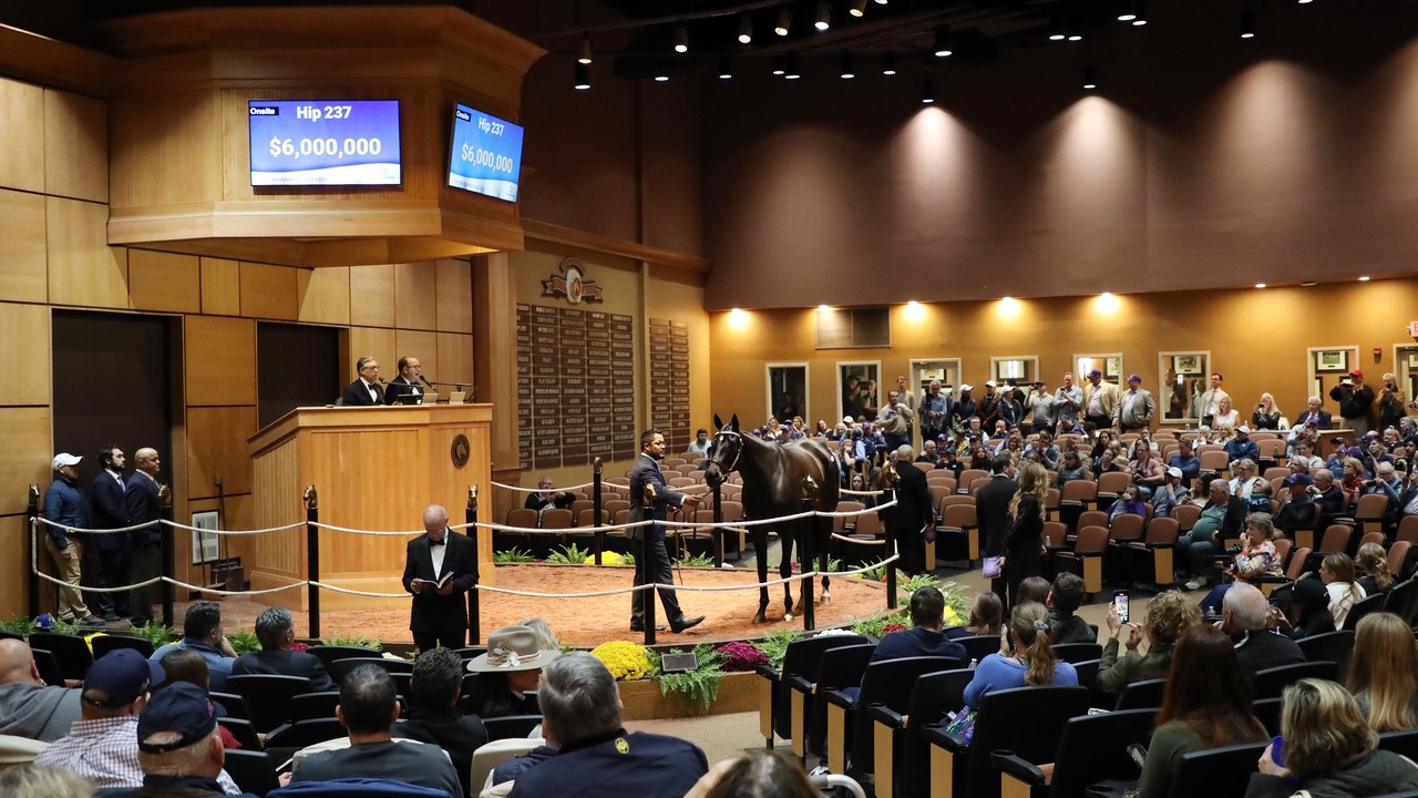 Fasig-Tipton To Get Closer Look At Middle East Horse Racing Image 2