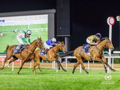 Meydan Racecourse Review: A Reflection on the Evening's ... Image 1