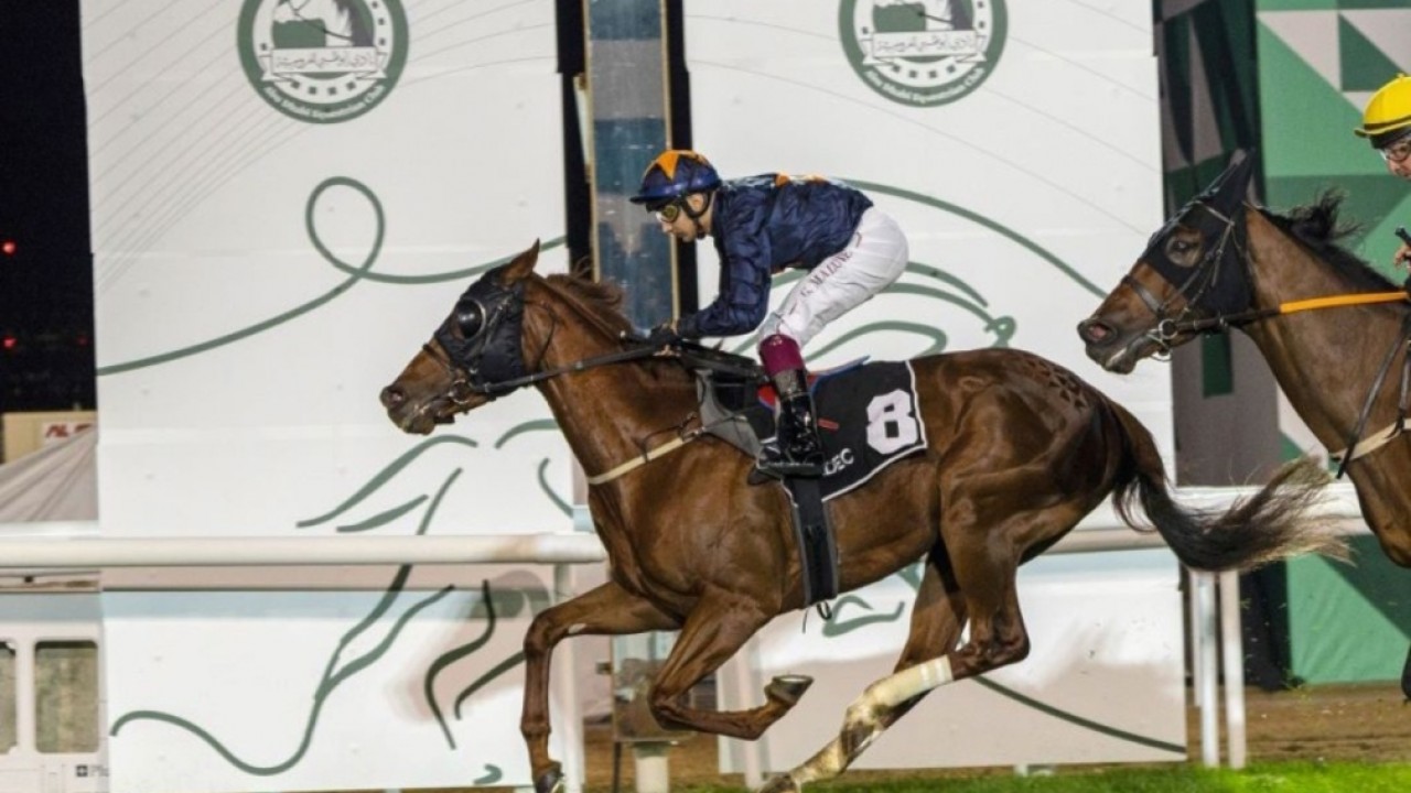 Abu Dhabi Equestrian Club Hosts Exciting Racing Event Image 1