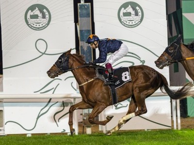Abu Dhabi Equestrian Club Hosts Exciting Racing Event Image 1