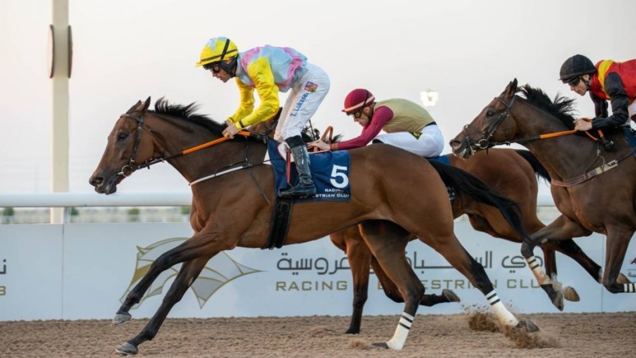 Harb Wins Al Uqda Local Thoroughbred Trophy Image 1