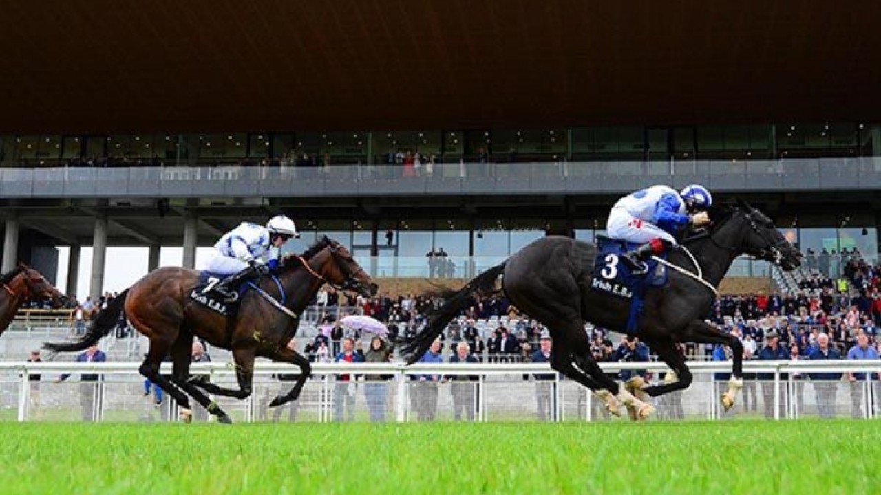 Buffer Zone Wins Bapco Energies Horseracing Cup Image 1