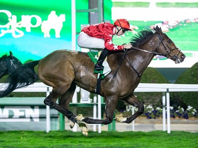 Sir Alex Ferguson Secures Another Victory With Spirit Dancer Image 1