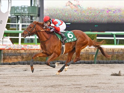Japan Cup Wins Two Races But Loses Out To Senor Buscador In ... Image 1