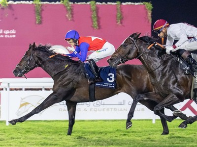 King Shalaa Of Wathnan Racing: A Qatar Sensation Image 1