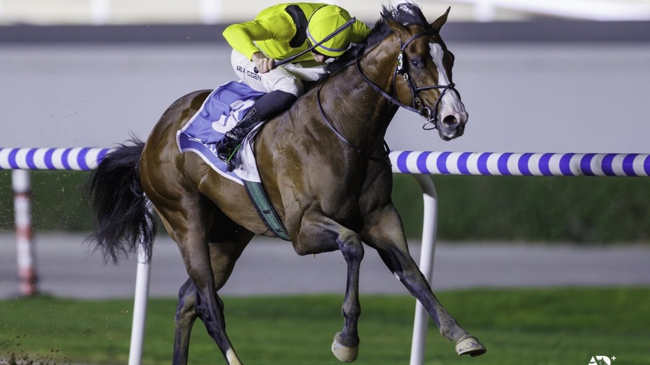 Preview: Dubai World Cup Contenders Prepare For Dress ... Image 3