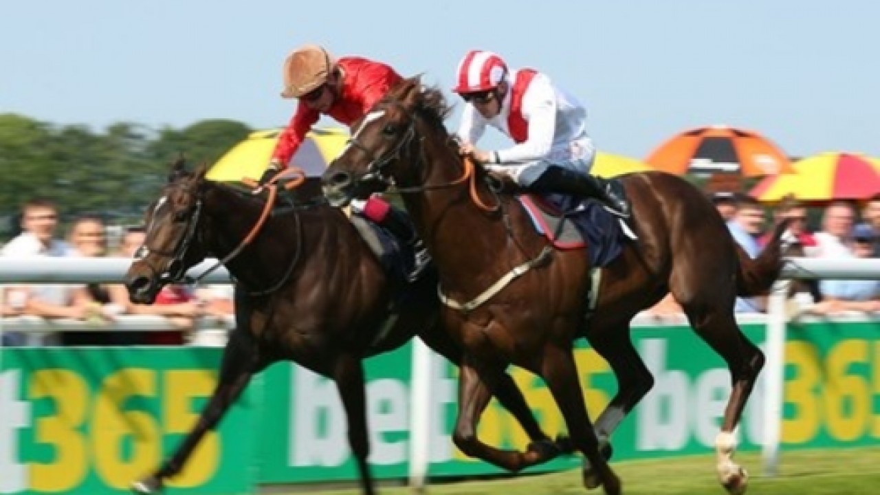 Sovereign Spirit Wins Bahrain Gold Cup Event Image 2