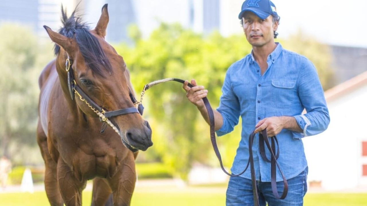 Embracing Dubai: A Trainer's Perspective On Racing, ... Image 1