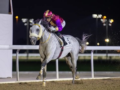 Safi Al Zaman Triumphs In Rodat Al Maida Cup Image 1
