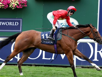 Jockey Grieves Over Highfield Princess' Heartbreaking Demise Image 1