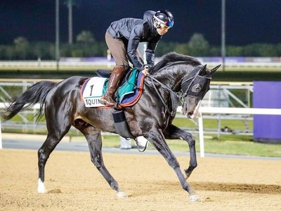 Longines Presents Race for Global Stars