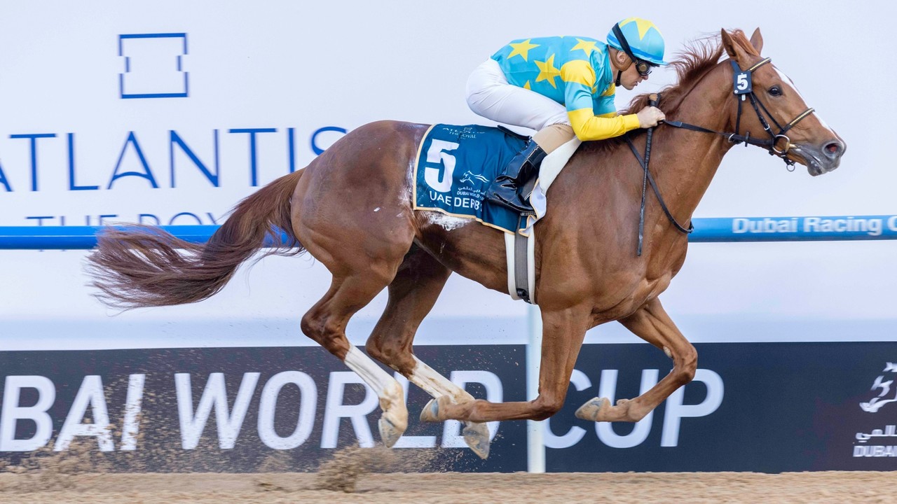 Saudi Horses Competing In Dubai World Cup Image 1