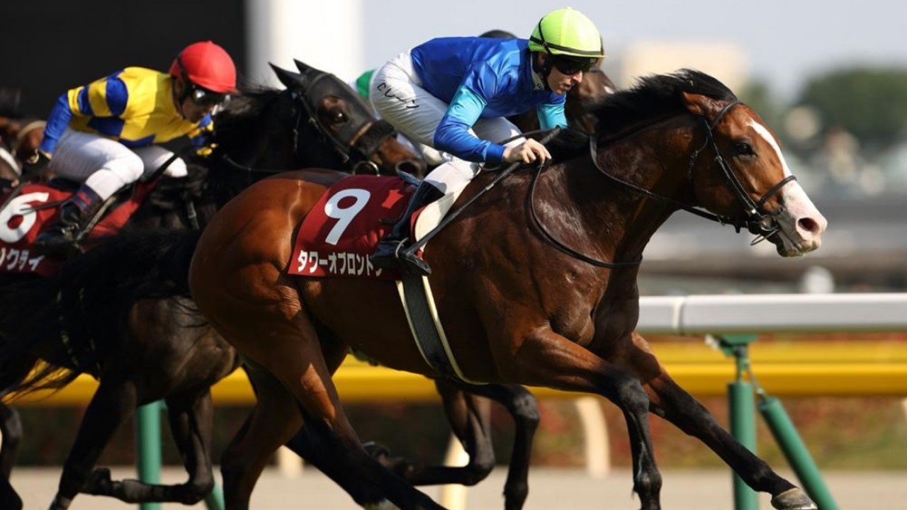 Preview - 2024 Dubai Gold Cup: Tower of London Looks Set To ... Image 1
