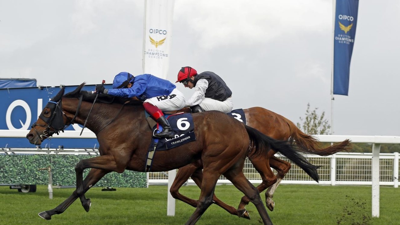 Preview - 2024 Dubai Gold Cup: Tower of London Looks Set To ... Image 2