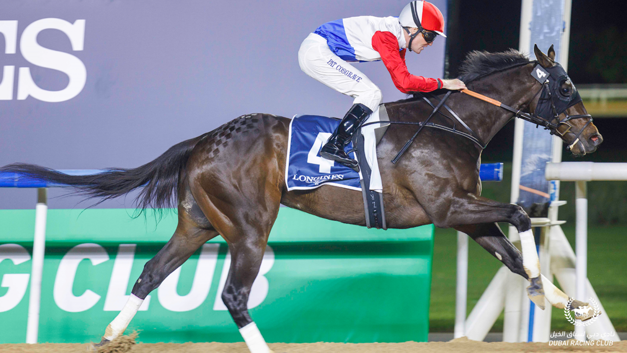Preview - 2024 UAE Derby: Who Will Come Out On Top? Image 2