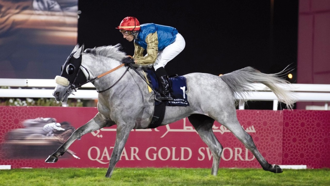 Qatar Gold Sword &amp; Trophy Races To Be Hosted At Al Rayyan Image 1