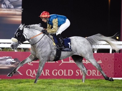 Qatar Gold Sword &amp; Trophy Races To Be Hosted At Al Rayyan Image 1