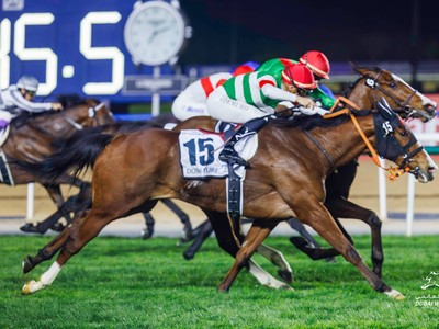 Review: The Dubai Turf A Tale Of Triumph And Tenacity