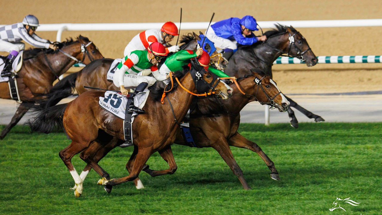 Review: The Dubai Turf A Tale Of Triumph And Tenacity Image 2