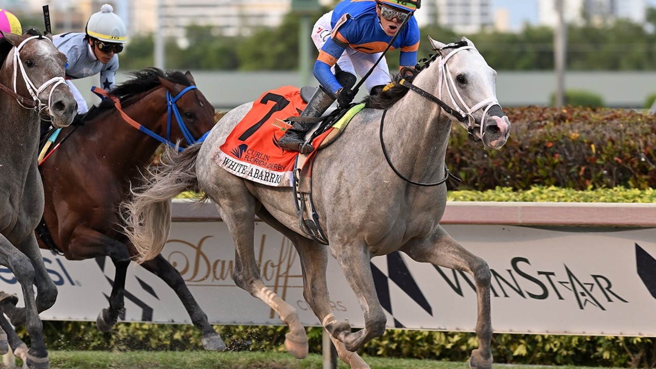 White Abarrio Completes Initial Workout Post-Saudi Cup; ... Image 1