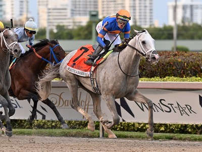 White Abarrio Completes Initial Workout Post-Saudi Cup; ... Image 1