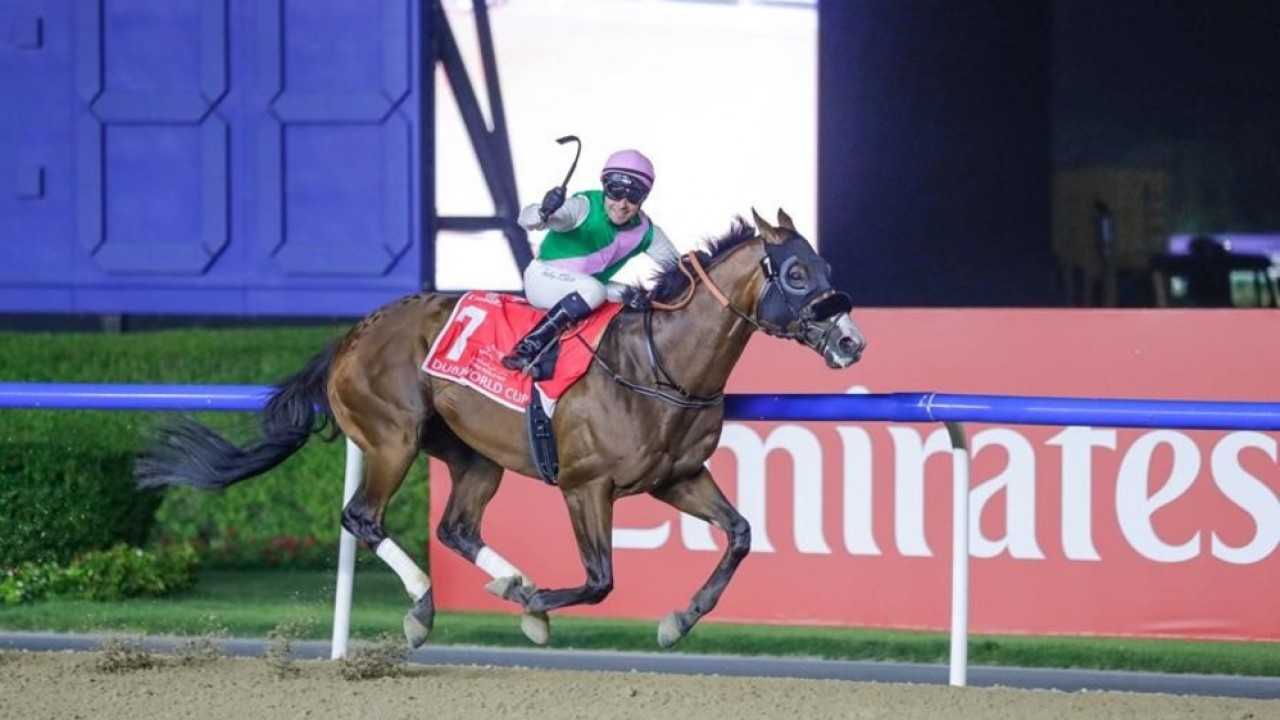 Laurel River Leads in Longines World's Best Racehorse ... Image 1