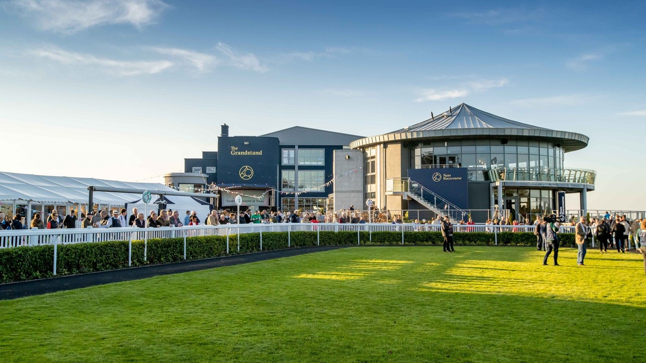 New Goffs Breeze-Up Sale At Naas Racecourse In June 2025, Image 2