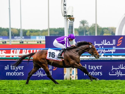 Ballydoyle Stables Celebrate Middle Eastern Success: A ...