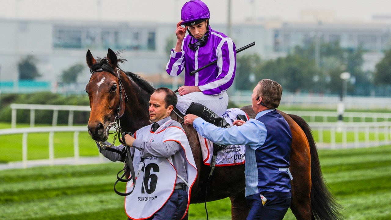 Ballydoyle Stables Celebrate Middle Eastern Success: A ... Image 1